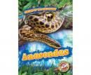 Anacondas Audiobook