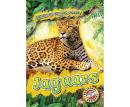 Jaguars Audiobook