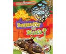 Butterfly or Moth? Audiobook