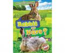 Rabbit or Hare? Audiobook