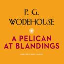 A Pelican at Blandings Audiobook