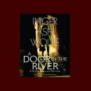 A Door in the River Audiobook