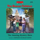 The Amazing Mystery Show Audiobook