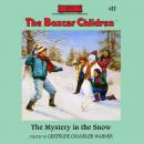 The Mystery in the Snow Audiobook