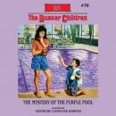 The Mystery of the Purple Pool Audiobook