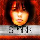 Spark Audiobook