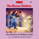 The Mystery at Skeleton Point Audiobook