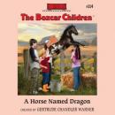 A Horse Named Dragon Audiobook
