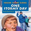 One Stormy Day Audiobook
