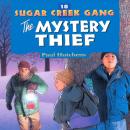 The Mystery Thief Audiobook
