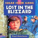 Lost in the Blizzard Audiobook