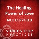 The Healing Power of Love Audiobook