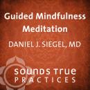 Guided Mindfulness Meditation Audiobook