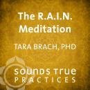 The R.A.I.N. Meditation Audiobook