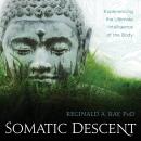Somatic Descent: Experiencing the Ultimate Intelligence of the Body Audiobook