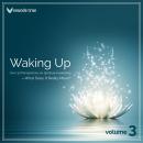 Waking Up Volume 3: Over 30 Perspectives on Spiritual Awakening--What Does It Really Mean? Audiobook