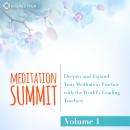 The Meditation Summit: Volume 1: Deepen and Expand Your Meditation Practice with the World's Leading Teachers Audiobook