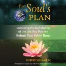 Cover of Your Soul's Plan: Discovering the Real Meaning of the Life You Planned Before You Were Born