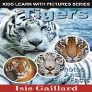 Tigers: Photos and Fun Facts for Kids Audiobook