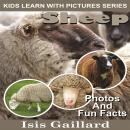 Sheep: Photos and Fun Facts for Kids Audiobook
