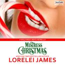 Mistress Christmas: Wild West Boys, Book 1 Audiobook