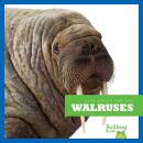Cover of Walruses
