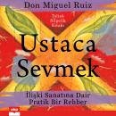 [Turkish] - Ustaca Sevmek: İlişki Sanatına Dair Pratik Bir Rehber Audiobook