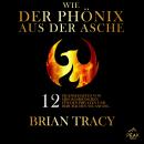 [German] - Wie der Phönix aus der Asche. 12 Eigenschaften von Erfolgsmenschen für den privaten und beruflichen Audiobook
