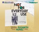 Not for Everyday Use: A Memoir Audiobook