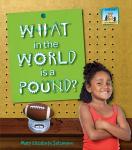 What in the World is a Pound? Audiobook