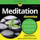 Meditation For Dummies Audiobook