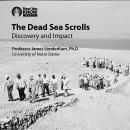 The Dead Sea Scrolls: Discovery and Impact Audiobook