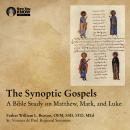 Synoptic Gospels: How to Read and Understand Matthew, Mark, and Luke Audiobook