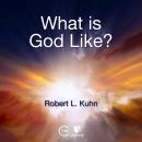 What is God Like? Audiobook