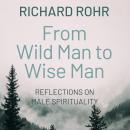 From Wild Man to Wise Man: Reflections on Male Spirituality Audiobook