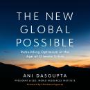 The New Global Possible: Rebuilding Optimism in the Age of Climate Crisis Audiobook
