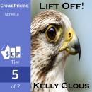 Lift Off !: Falcon Edition, Book One of the Fire and Flight Series Audiobook