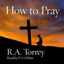 How to Pray Audiobook