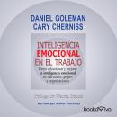 Inteligencia emocional en el trabjo (Emotionally Intelligent Workplace): Como seleccionar y mejorar  Audiobook