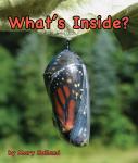 What's Inside? Audiobook