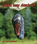 [Spanish] - ¿Qué hay dentro? Audiobook