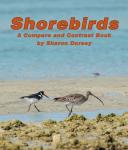 Shorebirds: A Compare and Contrast Book Audiobook