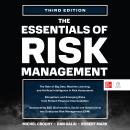The Essentials of Risk Management, 3e Audiobook