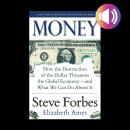 Money: How the Destruction of the Dollar Threatens the Global Economy - and What We Can Do About It Audiobook