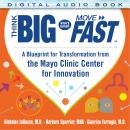 Think Big, Start Small, Move Fast: A Blueprint for Transformation from the Mayo Clinic Center for In Audiobook