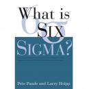 What Is Six Sigma? Audiobook