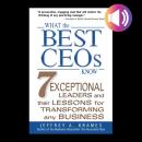 What the Best CEOs Know Audiobook