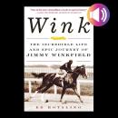 Wink Audiobook