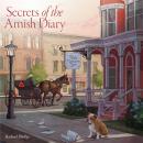 Secrets of the Amish Diary Audiobook