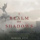 A Realm of Shadows: Kings and Sorcerers (Book #5) Audiobook